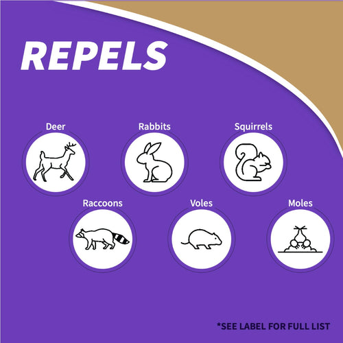 Bonide Repels-All® Animal Repellent Ready-to-Use