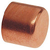 Nibco Tube Cap C - Wrot