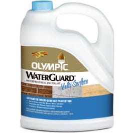 Clear Exterior Waterguard Sealer, Gallon