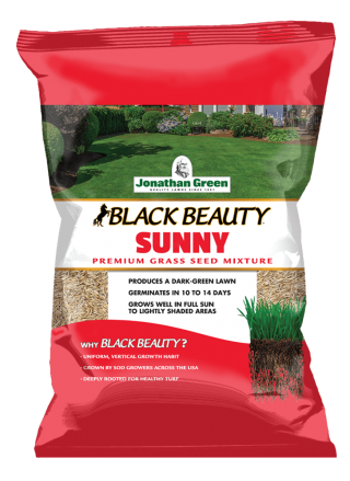 Jonathan Green Black Beauty® Sunny Grass Seed