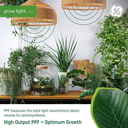 led grow light bulbs for indoor plants GE Grow LED Light Bulb, A19 Indoor Plant Light for Seeds and Greens 16 PPF - Longville, MN