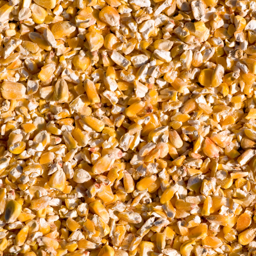 Livestock Feed Cracked Corn