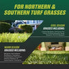 ORTHO Nutsedge Killer for Lawns Ready-To-Spray₁