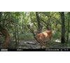 Moultrie Edge 3 Cellular Camera 2 Pack